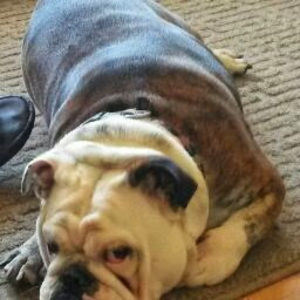 Meet your Posher, Katherine